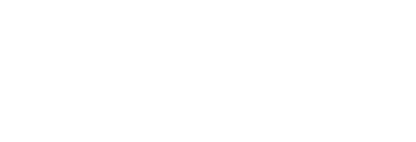 nicebeauty logo